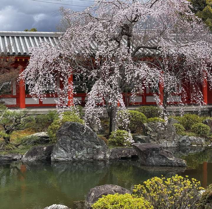 Grounds of Sanjusangen-do temple
