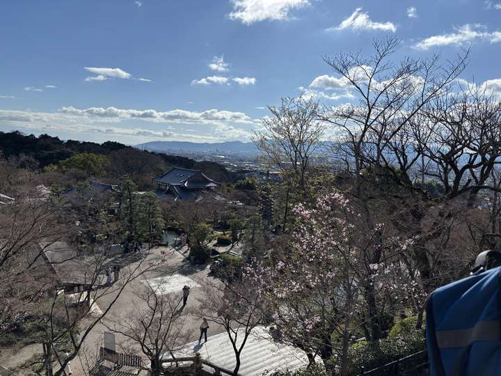 Looking over Kyoto