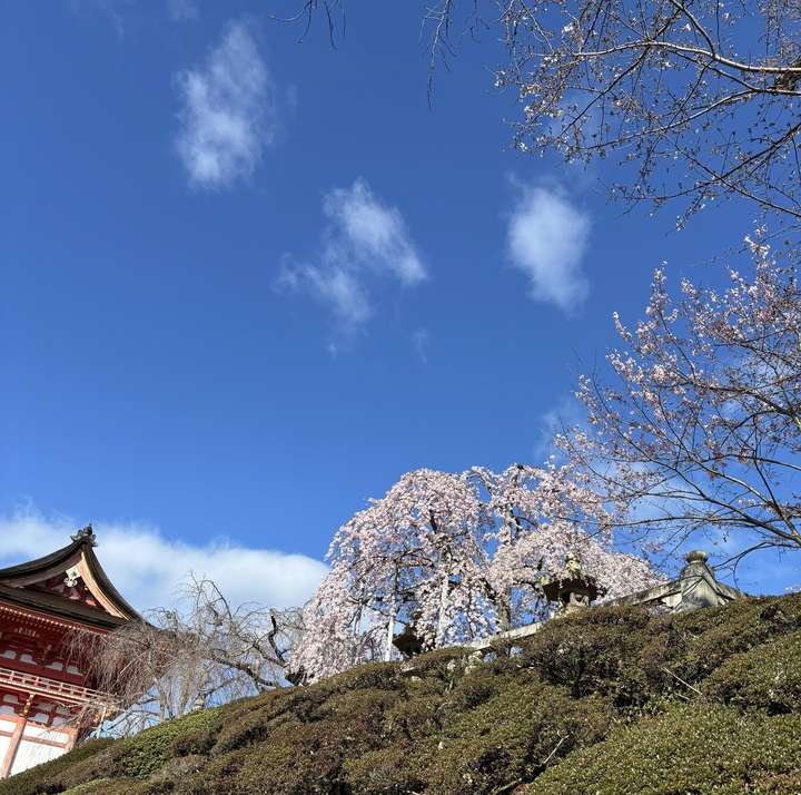 Kiyomizu-dera temple