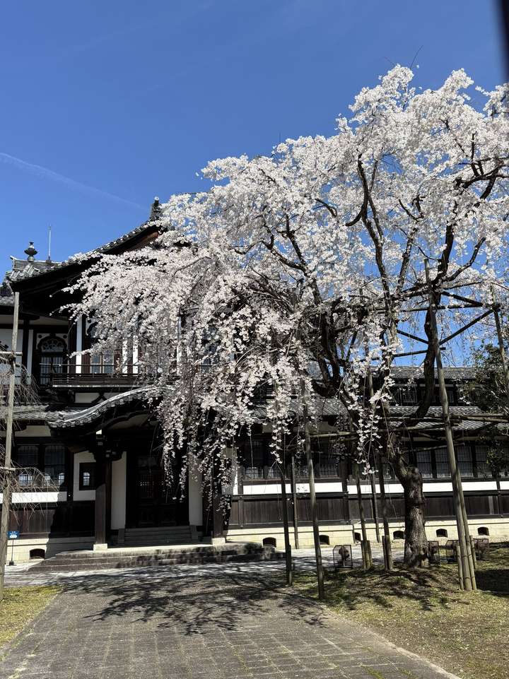 Nara Park