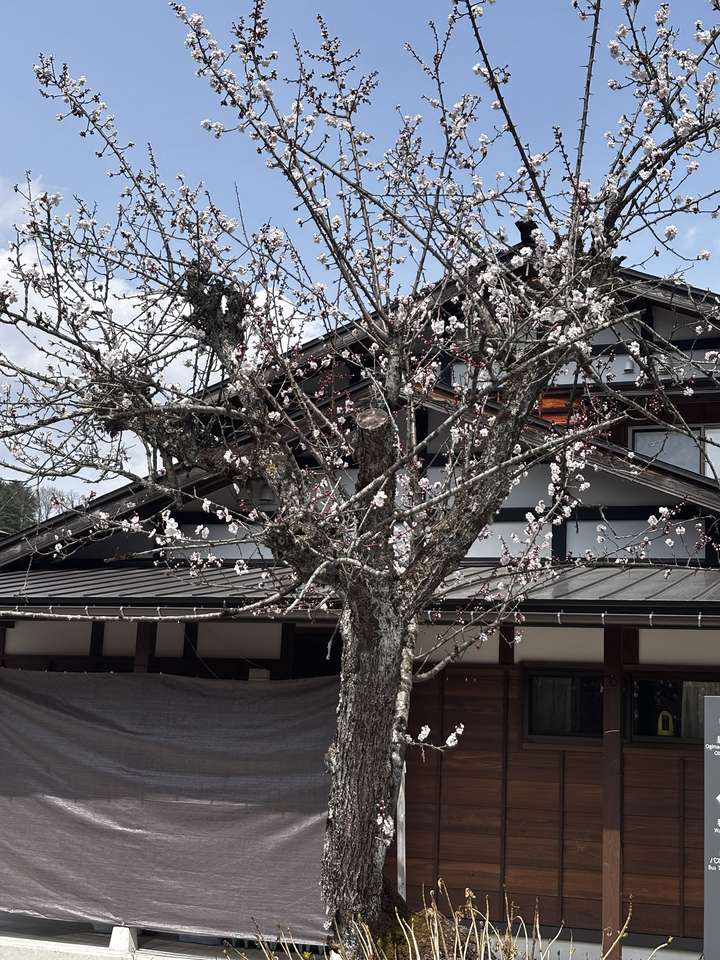 Shirakawa-go