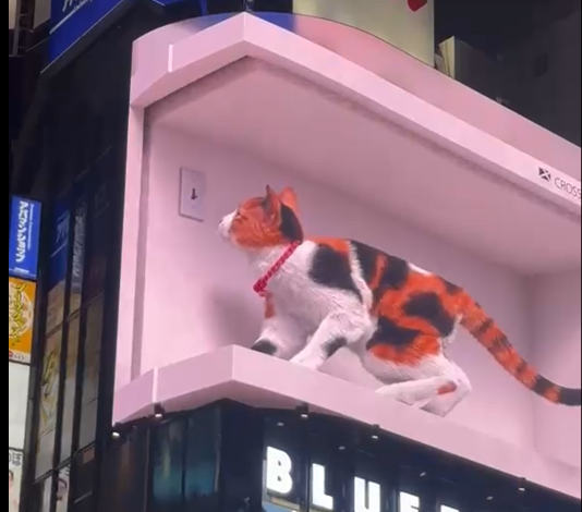 Cinnamon in Tokyo