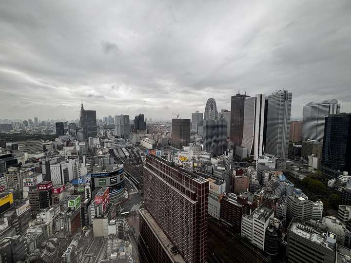 View from 29th Floor, Groove Hotel, Tokyo