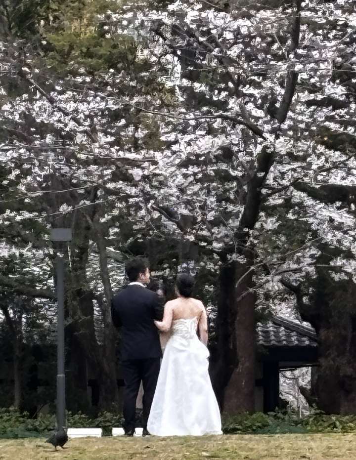 Shinjuku Central Park